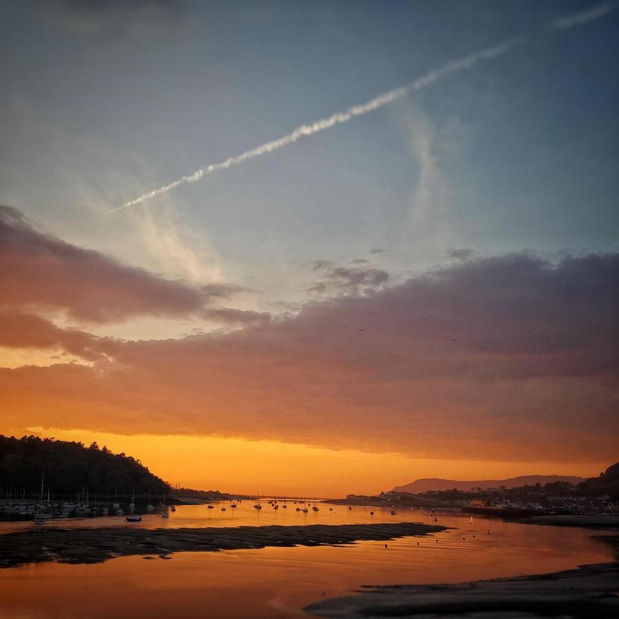 Gwynant Bach - Cosy 2 Bed Bungalow Cottage In Snowdonia National Park, Conwy, North Wales المظهر الخارجي الصورة
